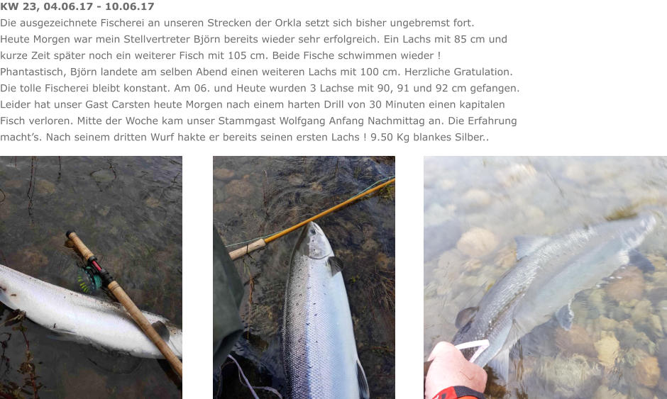 KW 23, 04.06.17 - 10.06.17 Die ausgezeichnete Fischerei an unseren Strecken der Orkla setzt sich bisher ungebremst fort. Heute Morgen war mein Stellvertreter Björn bereits wieder sehr erfolgreich. Ein Lachs mit 85 cm und  kurze Zeit später noch ein weiterer Fisch mit 105 cm. Beide Fische schwimmen wieder ! Phantastisch, Björn landete am selben Abend einen weiteren Lachs mit 100 cm. Herzliche Gratulation. Die tolle Fischerei bleibt konstant. Am 06. und Heute wurden 3 Lachse mit 90, 91 und 92 cm gefangen. Leider hat unser Gast Carsten heute Morgen nach einem harten Drill von 30 Minuten einen kapitalen Fisch verloren. Mitte der Woche kam unser Stammgast Wolfgang Anfang Nachmittag an. Die Erfahrung macht’s. Nach seinem dritten Wurf hakte er bereits seinen ersten Lachs ! 9.50 Kg blankes Silber..