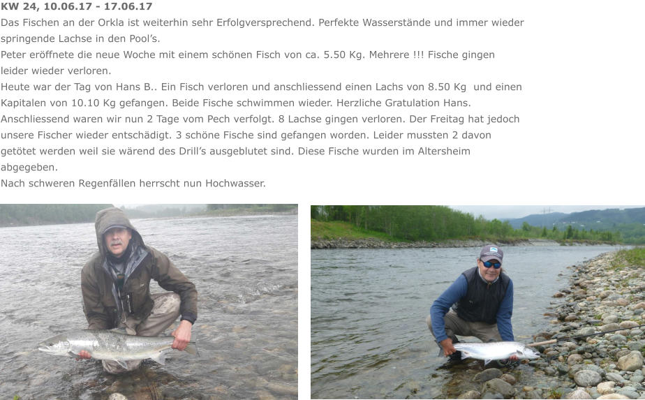 KW 24, 10.06.17 - 17.06.17 Das Fischen an der Orkla ist weiterhin sehr Erfolgversprechend. Perfekte Wasserstände und immer wieder springende Lachse in den Pool’s. Peter eröffnete die neue Woche mit einem schönen Fisch von ca. 5.50 Kg. Mehrere !!! Fische gingen leider wieder verloren. Heute war der Tag von Hans B.. Ein Fisch verloren und anschliessend einen Lachs von 8.50 Kg  und einen Kapitalen von 10.10 Kg gefangen. Beide Fische schwimmen wieder. Herzliche Gratulation Hans. Anschliessend waren wir nun 2 Tage vom Pech verfolgt. 8 Lachse gingen verloren. Der Freitag hat jedoch unsere Fischer wieder entschädigt. 3 schöne Fische sind gefangen worden. Leider mussten 2 davon getötet werden weil sie wärend des Drill’s ausgeblutet sind. Diese Fische wurden im Altersheim abgegeben.  Nach schweren Regenfällen herrscht nun Hochwasser.